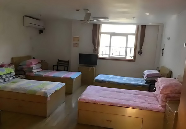 艾斯大陆：修尔与凤凰